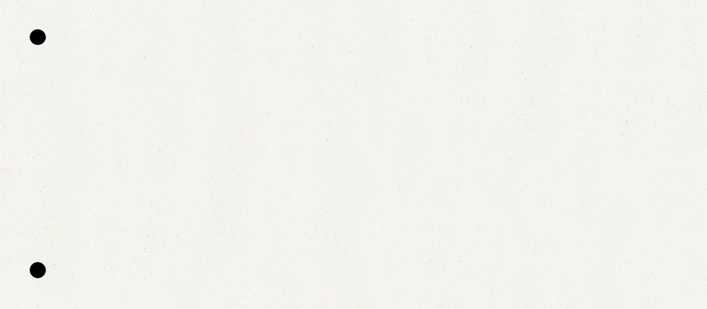 [4003273168824] Trennstreifen 10,5x24cm ws