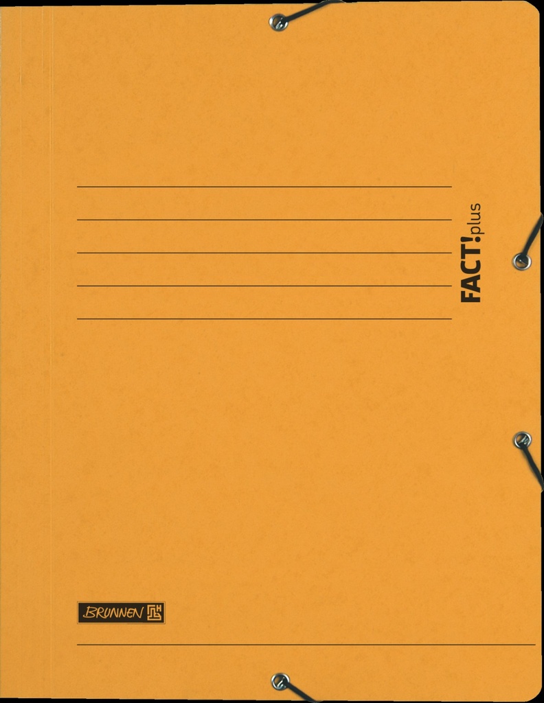 [4003273284425] Sammelmappe FACT! gelb Gummizug
