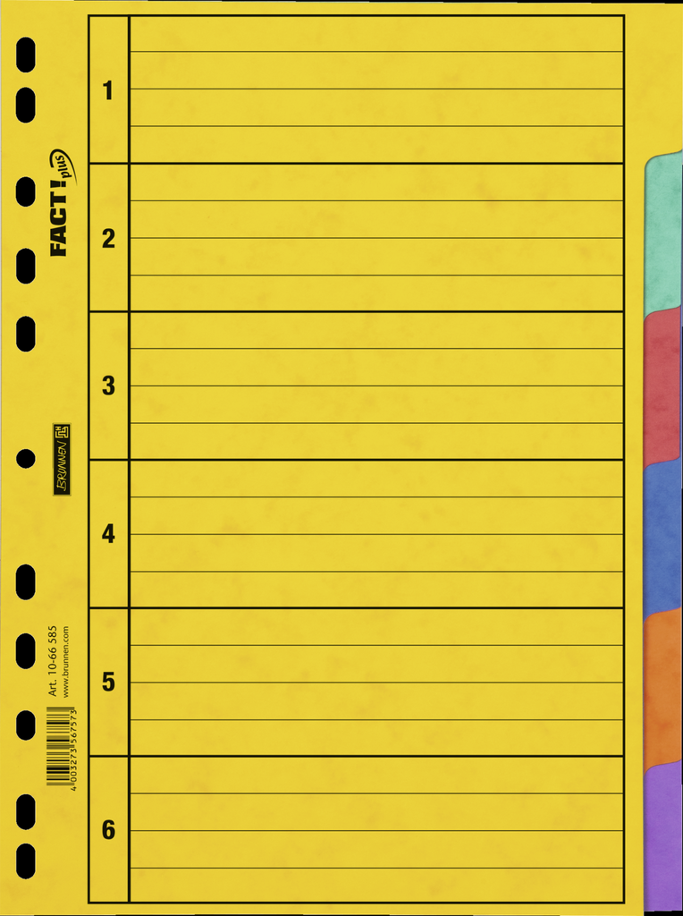 Ringbuchregister A4 6tlg Pressspan