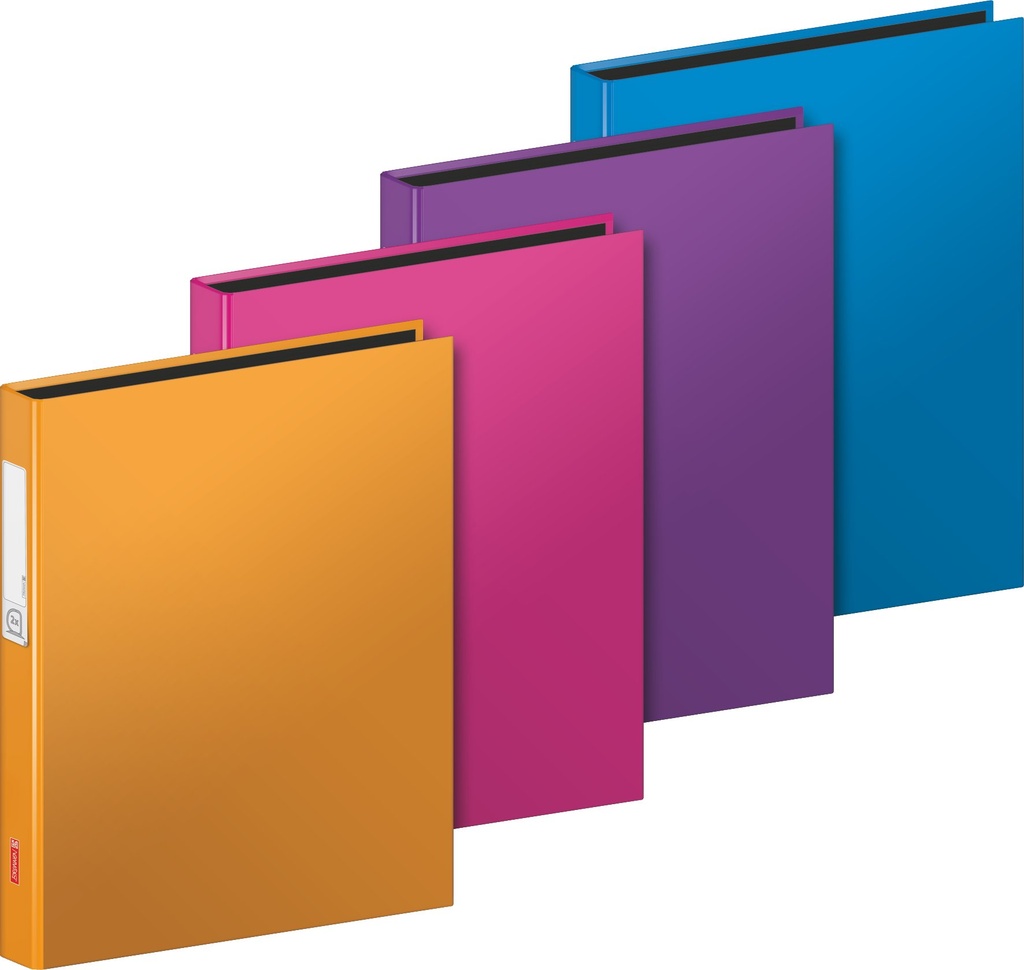 Ringbuch A4 Trend 2-Ring sortiert