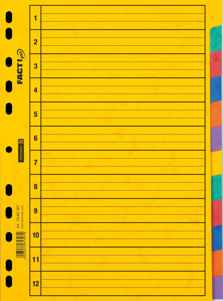 Ringbuchregister A4 12tlg Pressspan
