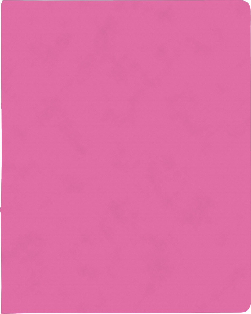 Ringbuch A4 FACT!plus 2R 15mm pink