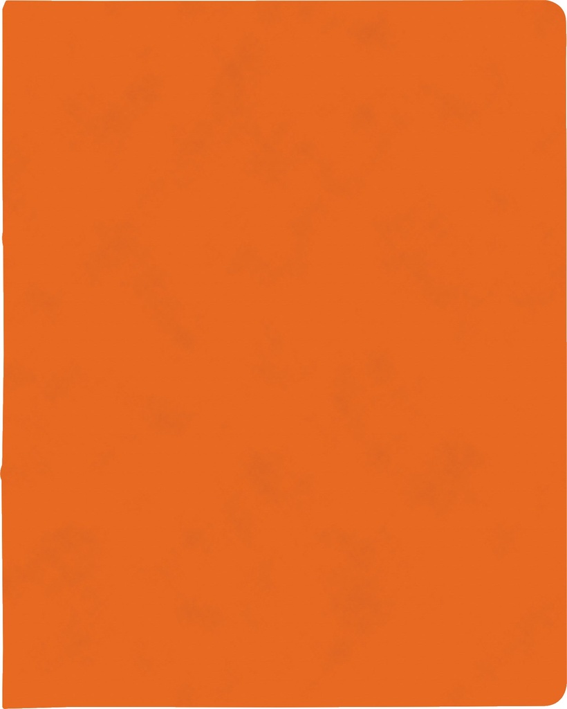 Ringbuch A4 FACT!plus 2R 15mm orange