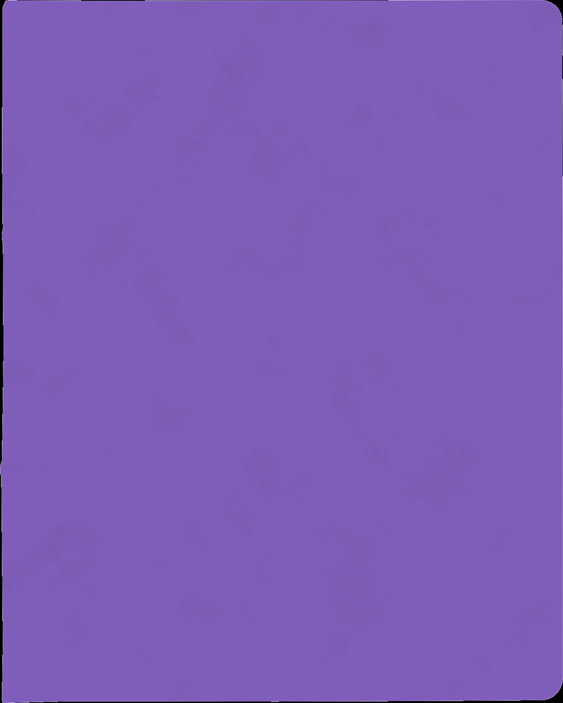 Ringbuch A4 FACT!plus 2R 15mm violett