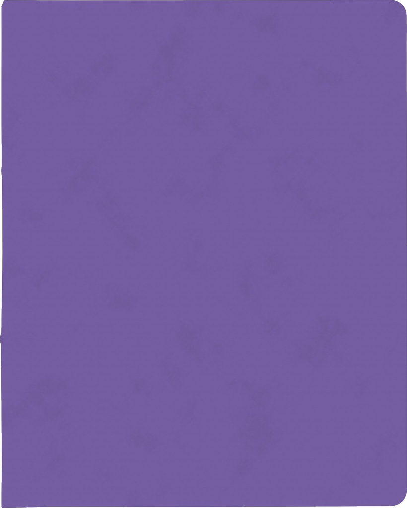 Ringbuch A4 FACT!plus 2R 15mm violett