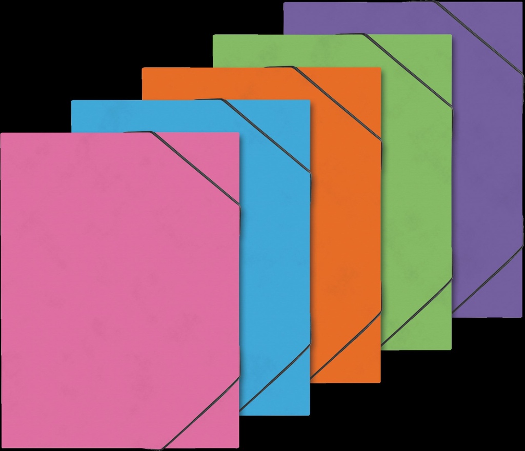 Sammelmappe A3 FACT!plus Trend