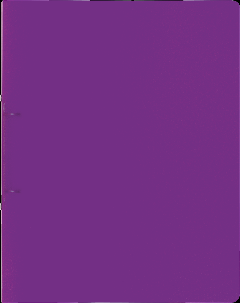 Ringbuch A4 FACT! 16mm 2Ringe violett

