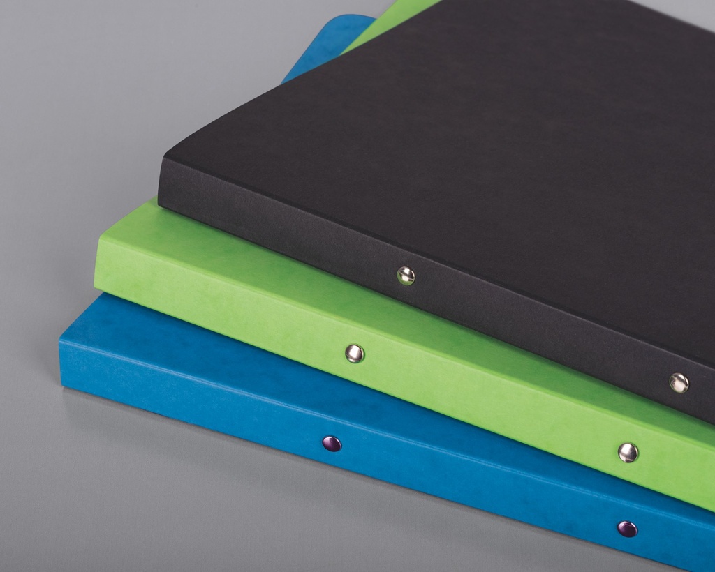 Ringbuch A4 FACT!plus 2R 15mm blau