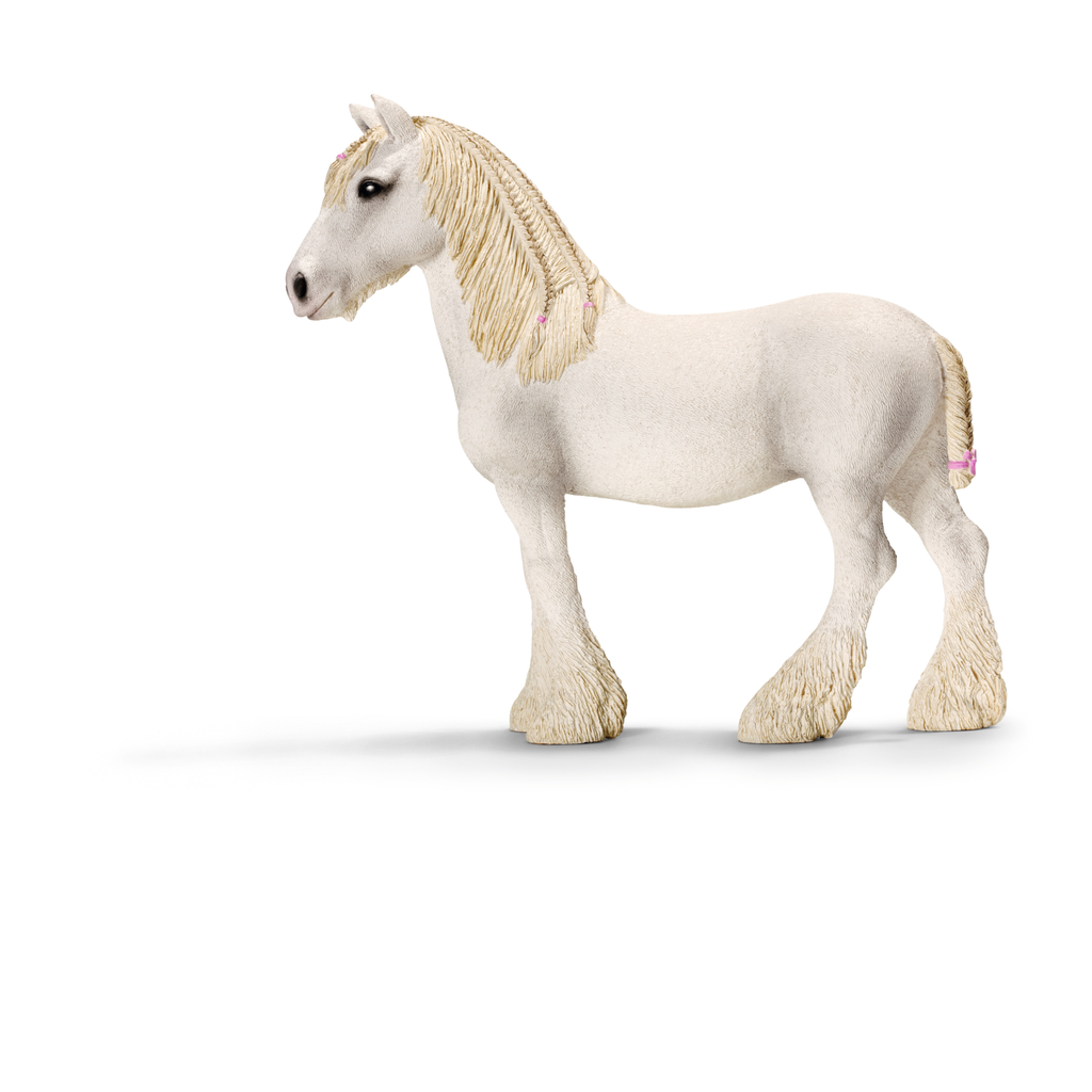 Shire Stute