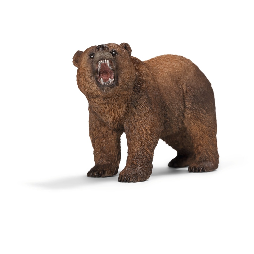 [4005086146853] Grizzlybär
