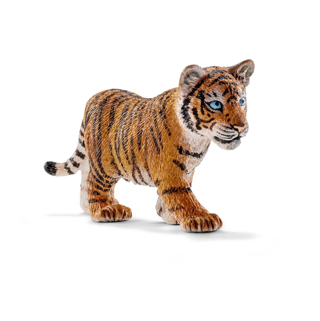 [4005086147300] Tigerjunges