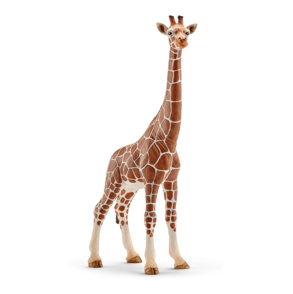 [4005086147508] Giraffenkuh