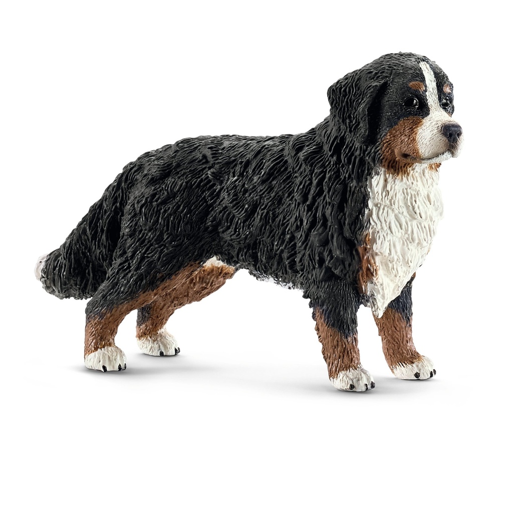 [4005086163973] Berner Sennenhündin