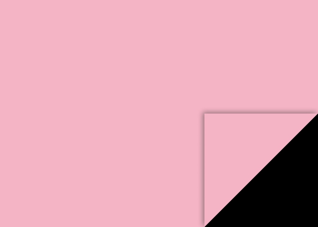 Fotokarton 50x70cm 300g rosa EAN