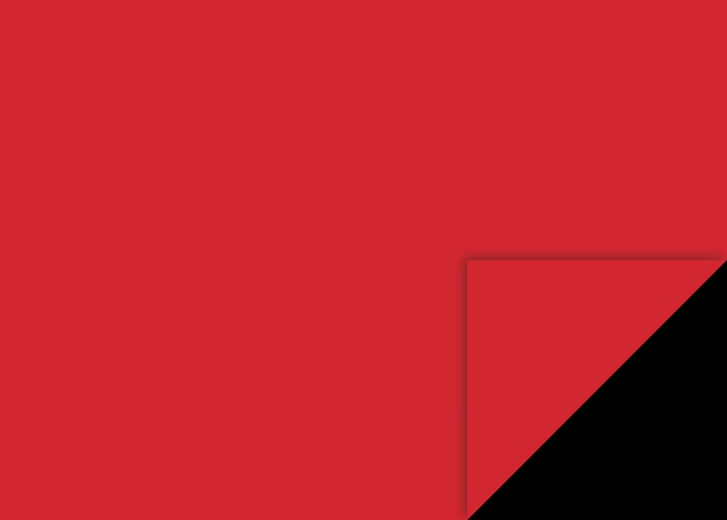 Fotokarton 50x70cm 300g m.rot EAN