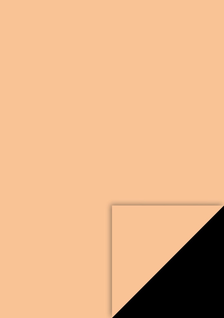 Fotokarton A4 300g apricot EAN
