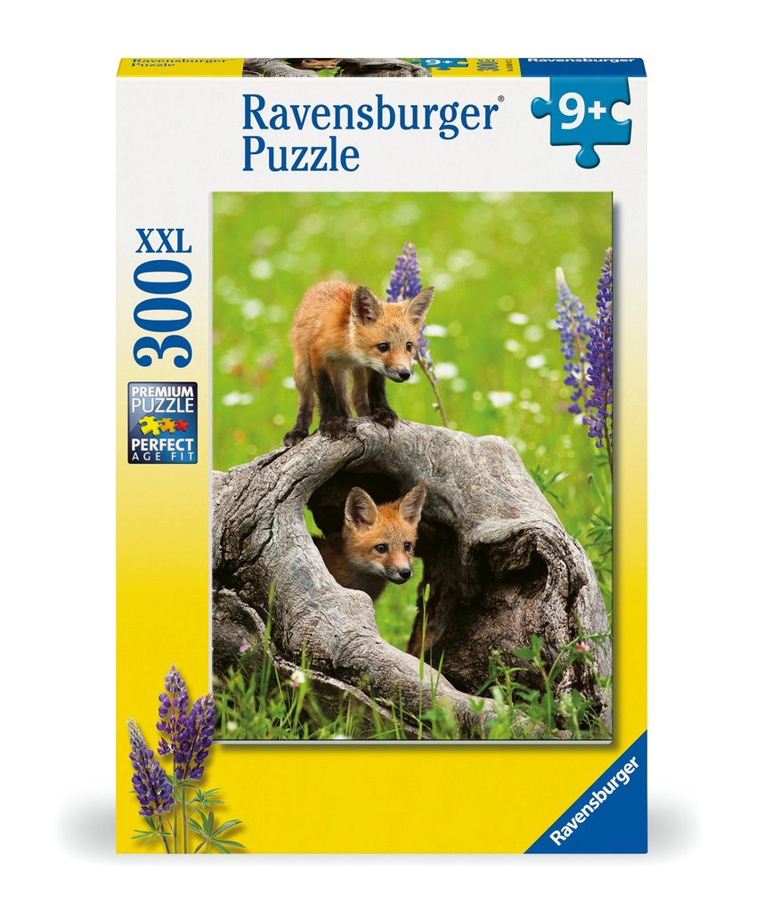 Freche Füchse