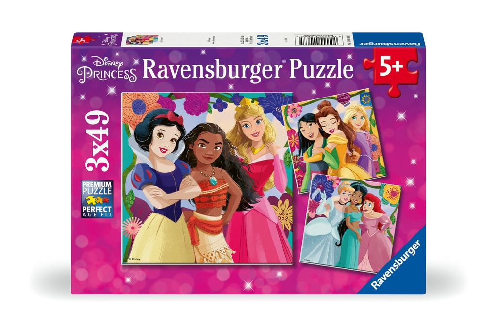 Disney Princess 3x4