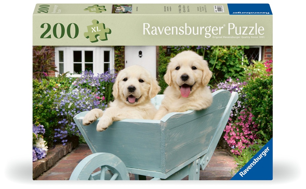 [4005555013686] Golden Retriever 200