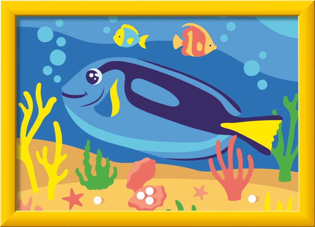 [4005555231172] Doktorfisch