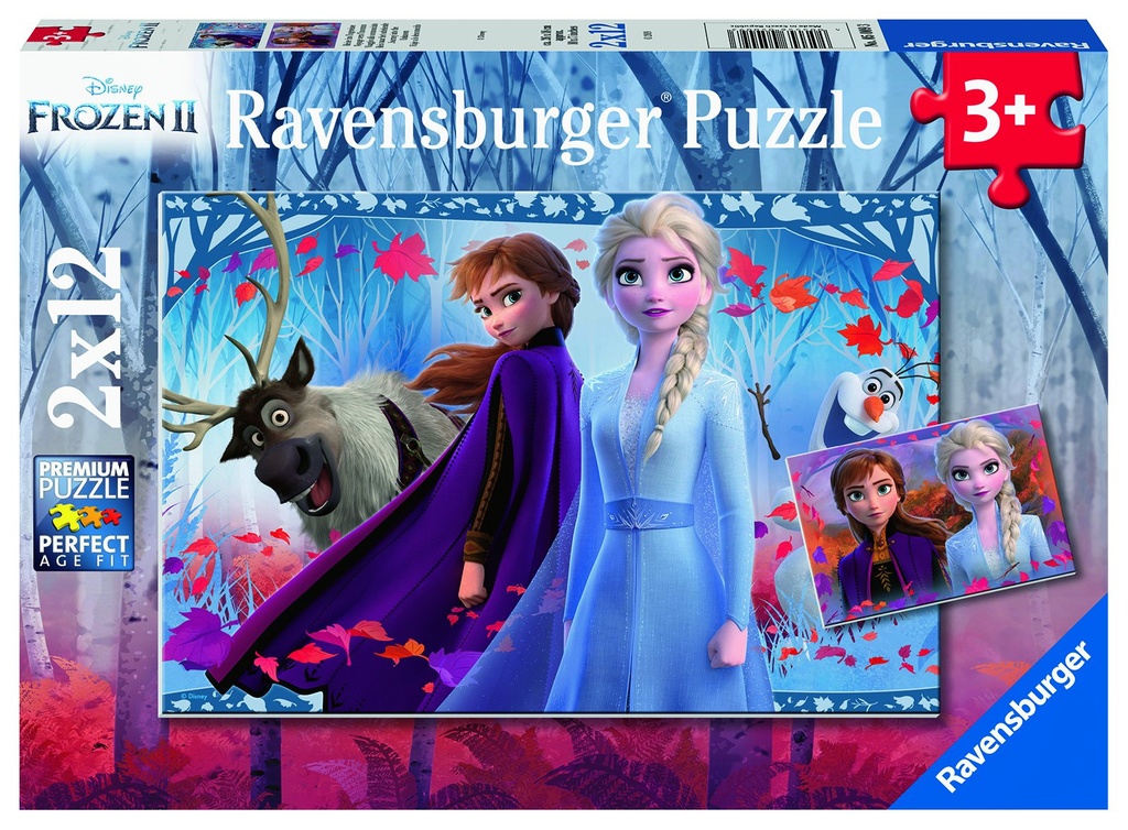DFZ Reise ins Ungewisse 2x1