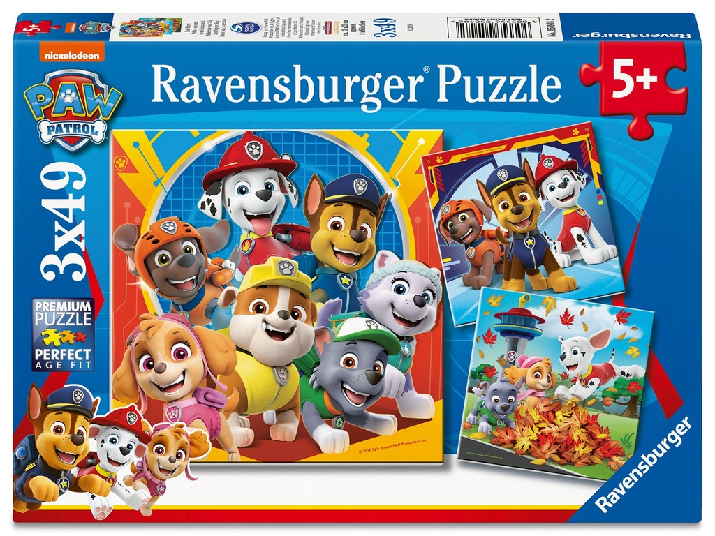 Paw Patrol 3x4