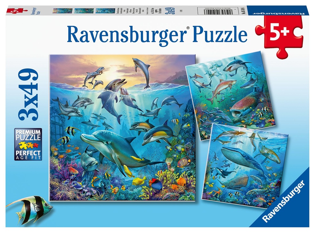 Tierwelt des Ozeans 3x4