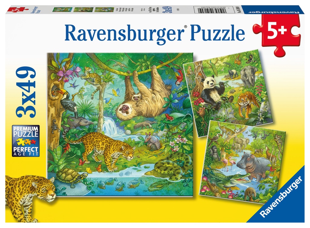 Im Urwald 3x4