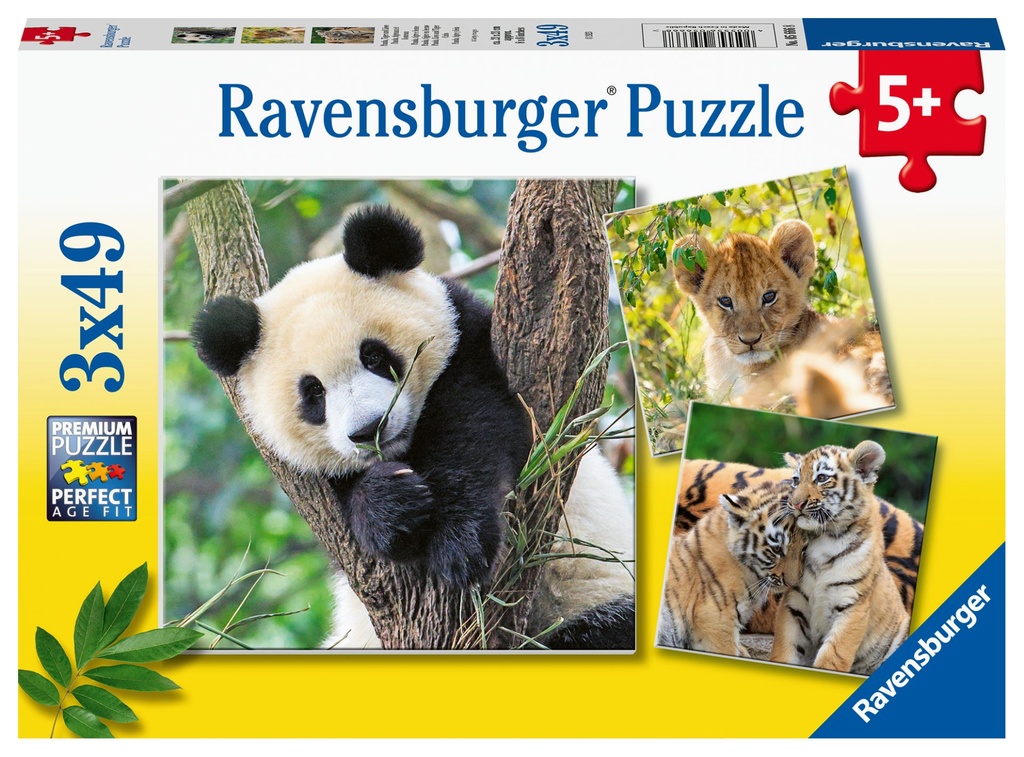 Panda. Tiger und Löwe