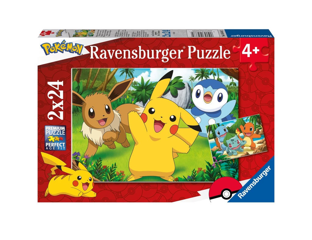 Pokémon:Pikachu und Freunde 2x2