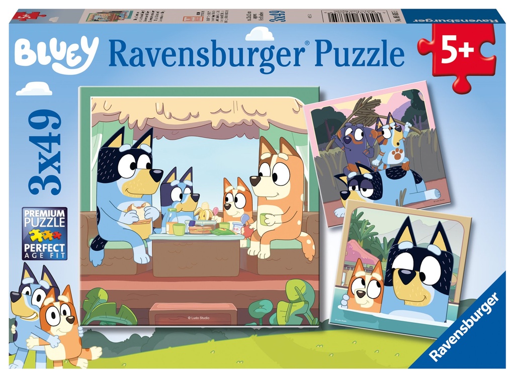 Bluey 3x4