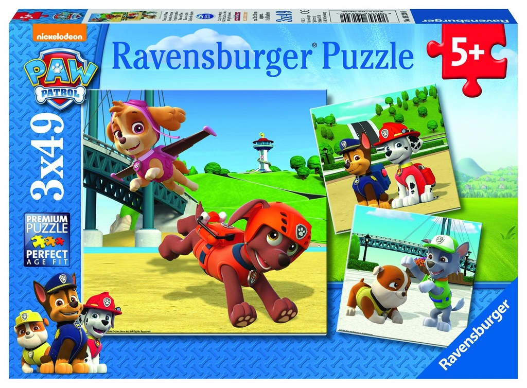 PAW:Team auf 4 Pfoten 3x4