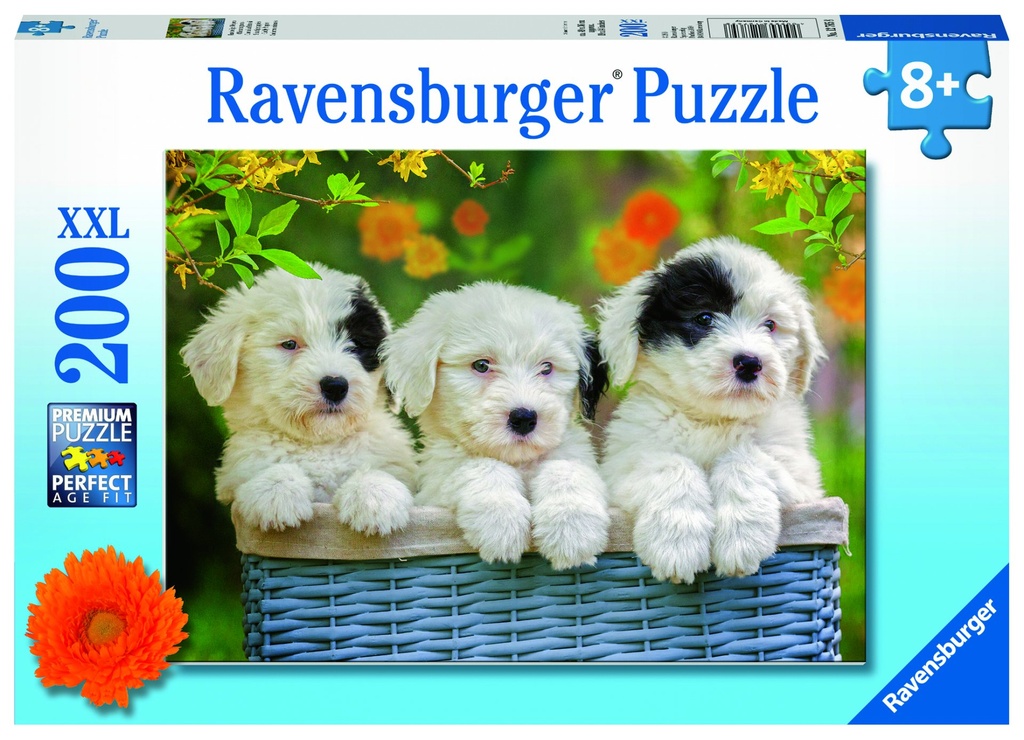 Kuschelige Welpen 200