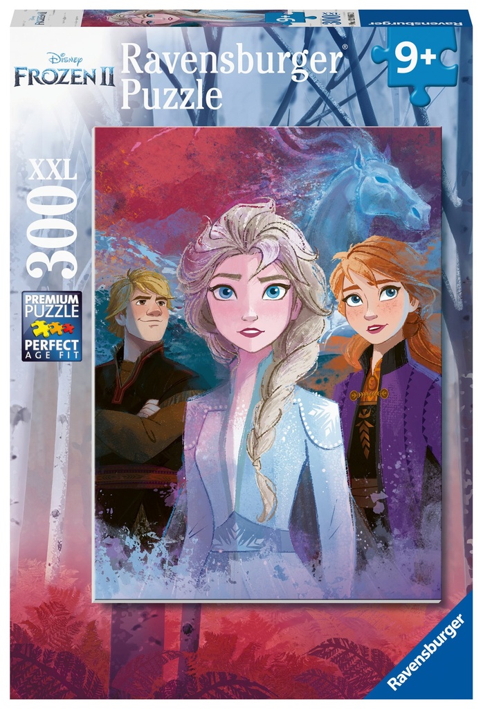 Elsa, Anna und Kristoff 300
