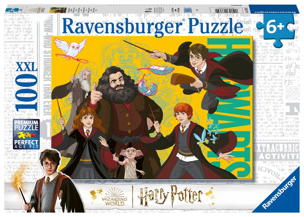 Der junge Zauberer Harry P.10