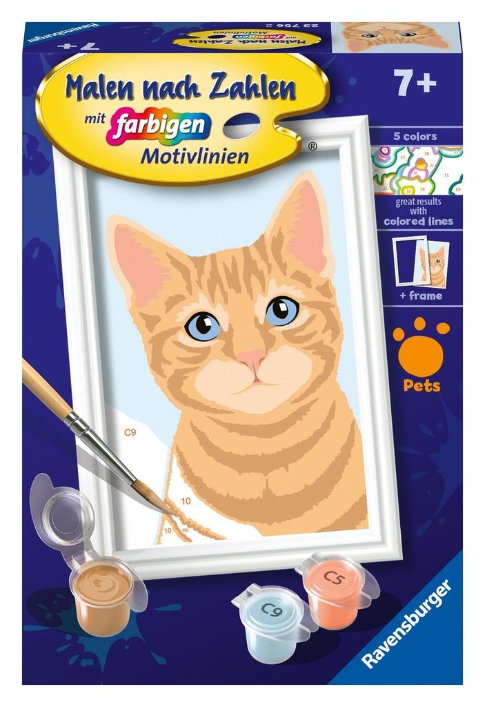 Niedliche Katze