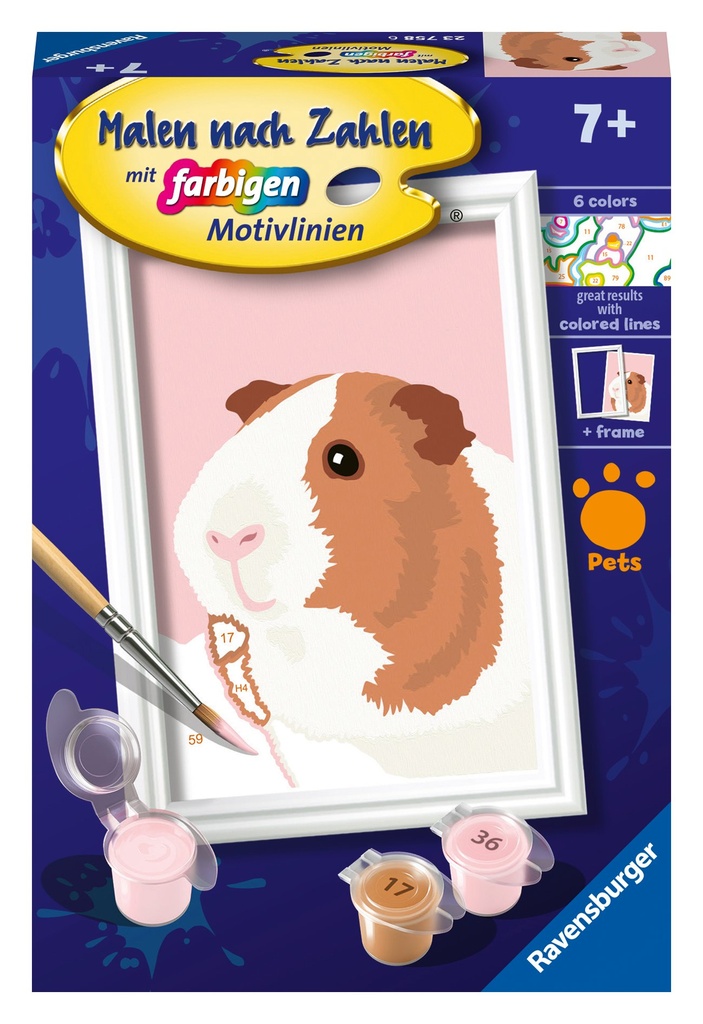 [4005556237586] Niedliches Meerschweinchen