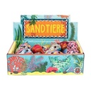 Sandtiere Meerestiere, sort.