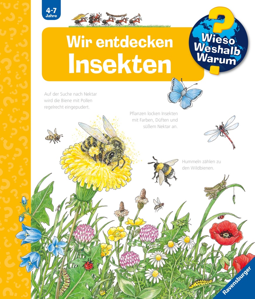 WWW39: Wir entdecken Insekten