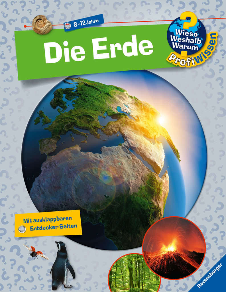 WWW ProfiWissen 1: Die Erde  