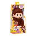 Little Live Pets My Baby Monkey Mini
