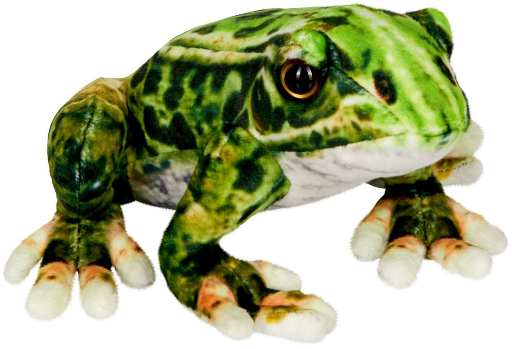 [4029753227027] Frosch - Nature Zoom Wild