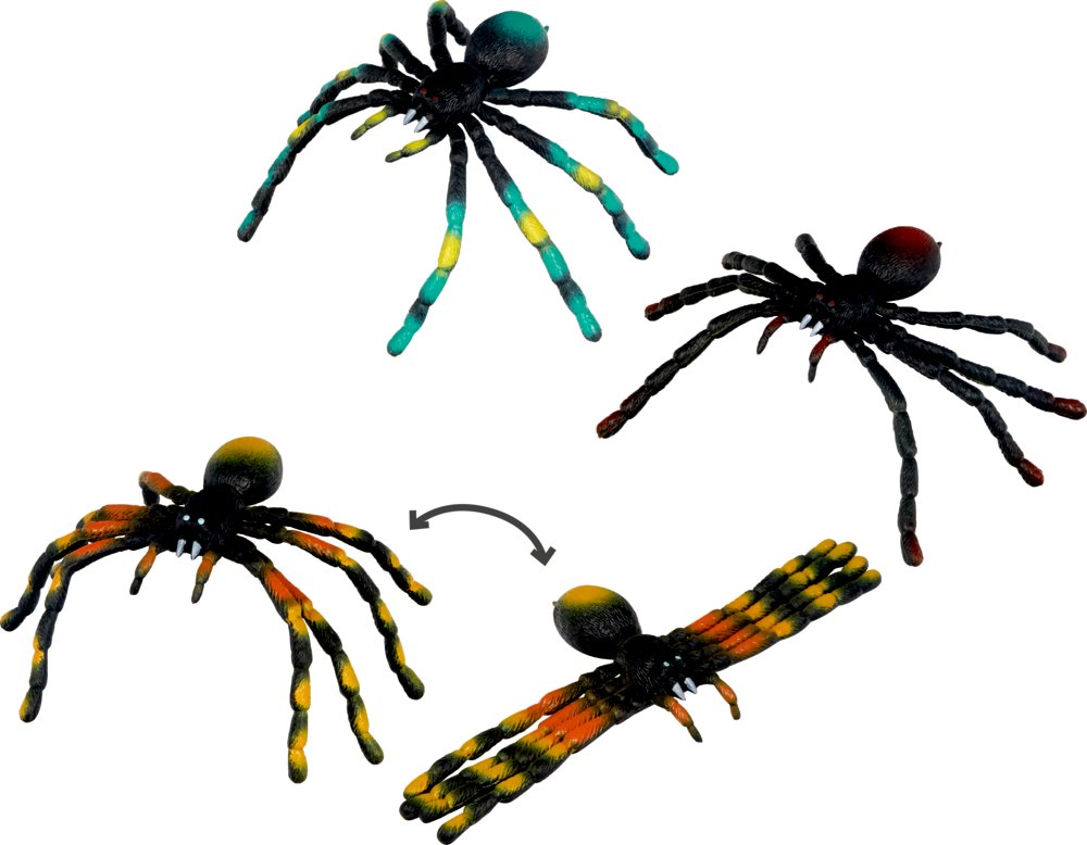 Biege-Spinne - Wild+Cool, sor