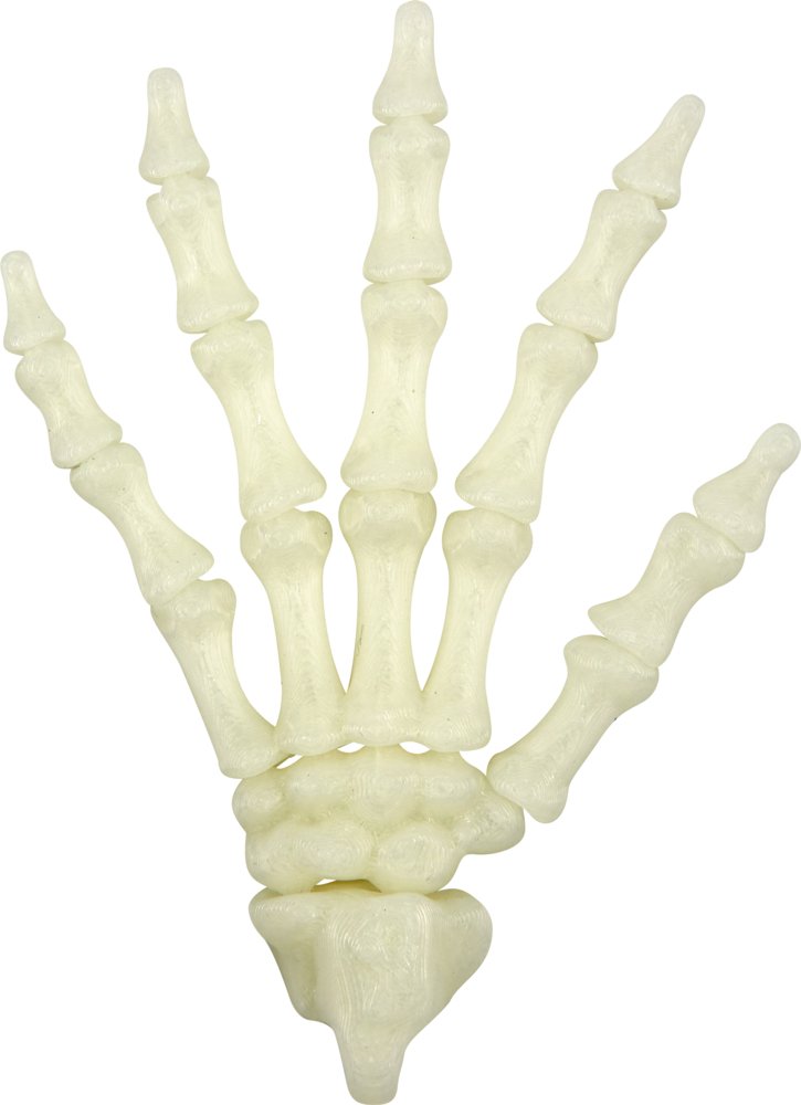 [4029753230010] Fluoreszierende Skelett-Hand