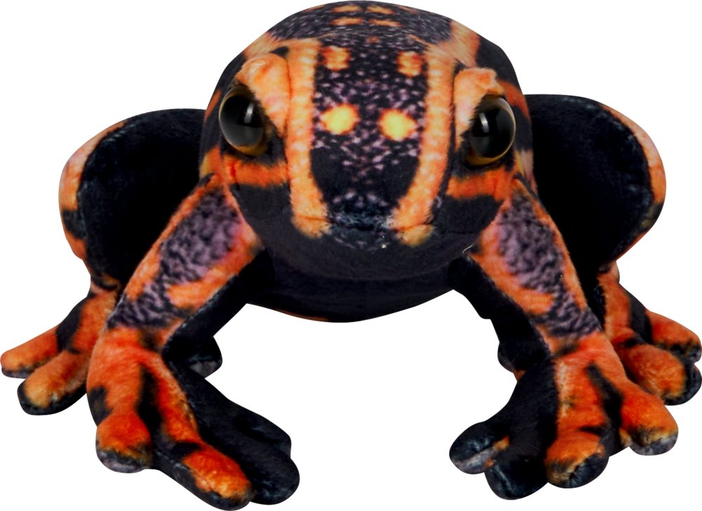 [4029753234087] Pfeilgiftfrosch - Nature Zoom Wild