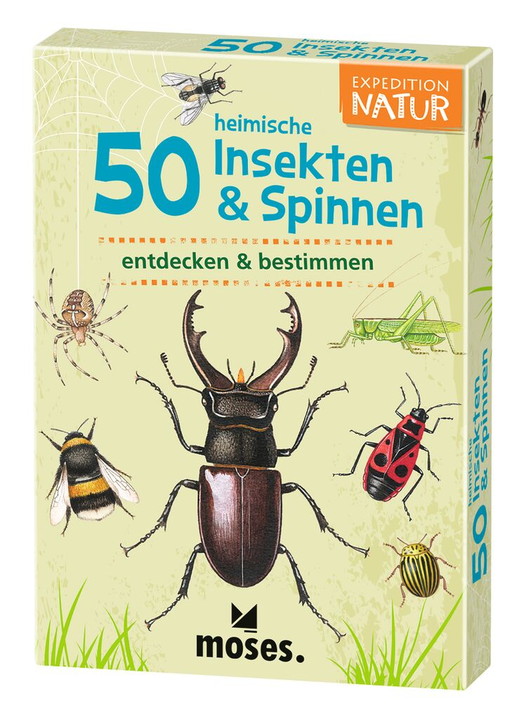 50 Insekten & Spinnen 