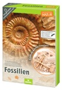 Fossilien-Ausgrabungsset