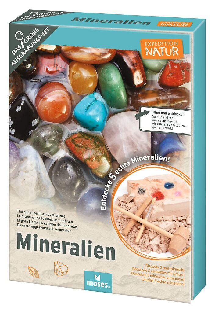 [4033477098344] Mineralien-Ausgrabungs-Set