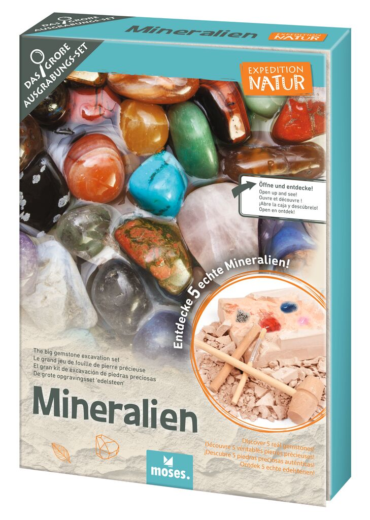 Mineralien-Ausgrabungs-Set