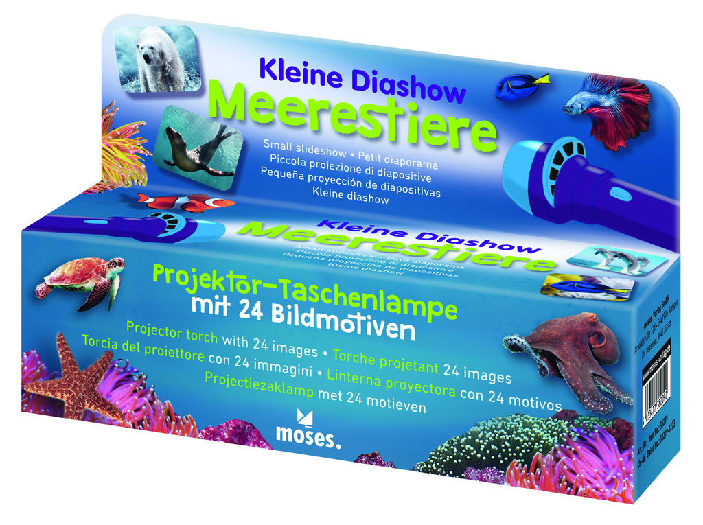 Kleine Diashow Meerestiere